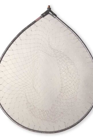 TESTA GUADINO OVALE  diam. 55 cm