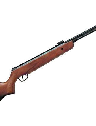 CARABINA ARIA COMPRESSA GAMO BIG CAT CF F <7.5j