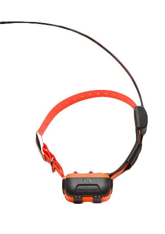 Canicom Gps 2 – Collare Aggiuntivo