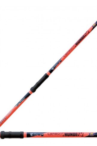 CANNA DA PESCA BOLOGNESE CARBON THUNDER MT 3.60