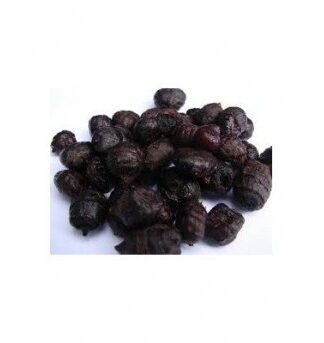 TIGERNUT BLACK PANTER HOOK BAIT Extremobait